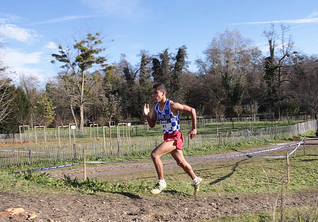 Diapositive suivante